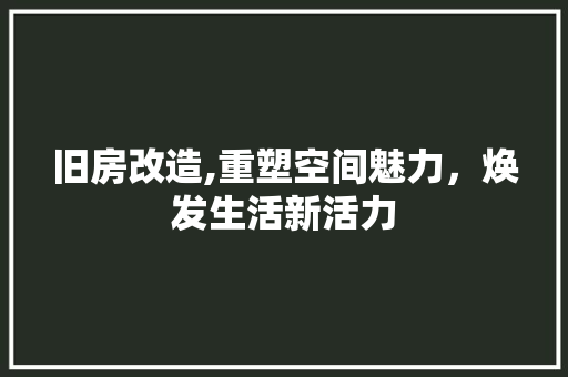 旧房改造,重塑空间魅力，焕发生活新活力