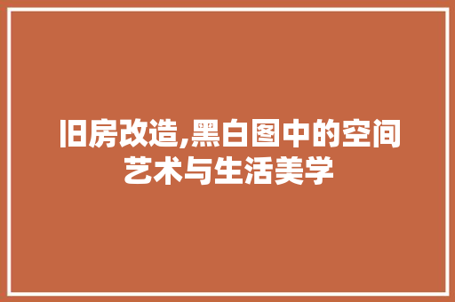 旧房改造,黑白图中的空间艺术与生活美学
