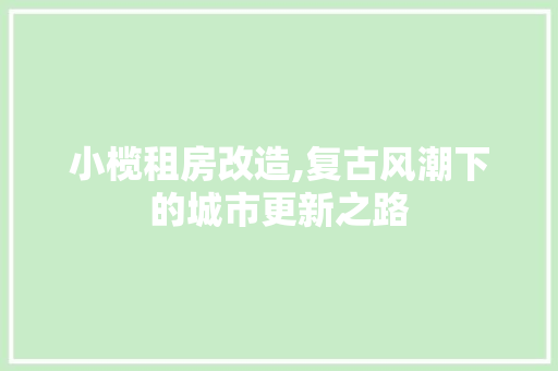小榄租房改造,复古风潮下的城市更新之路 墙体维修