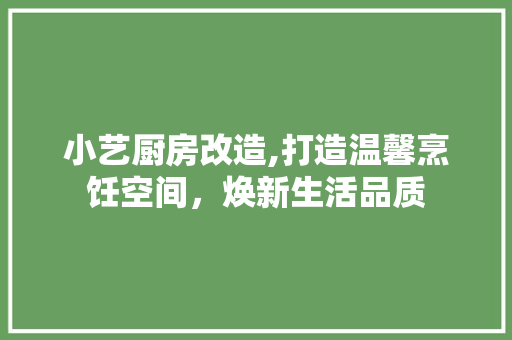 小艺厨房改造,打造温馨烹饪空间，焕新生活品质