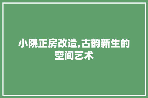 小院正房改造,古韵新生的空间艺术