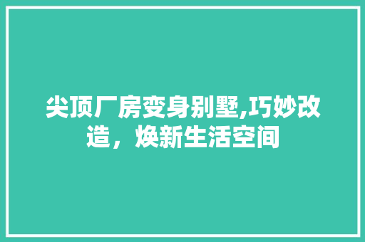 尖顶厂房变身别墅,巧妙改造，焕新生活空间
