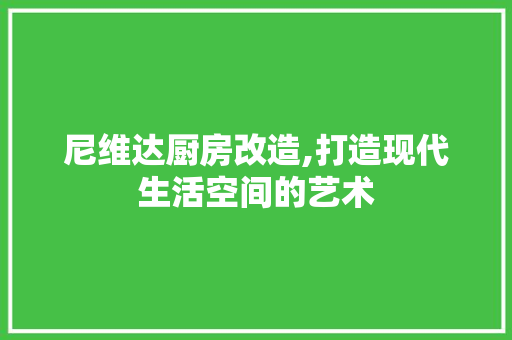 尼维达厨房改造,打造现代生活空间的艺术