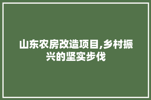 山东农房改造项目,乡村振兴的坚实步伐