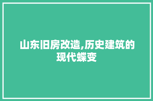 山东旧房改造,历史建筑的现代蝶变