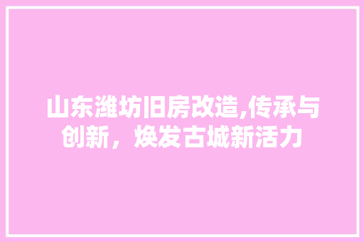 山东潍坊旧房改造,传承与创新，焕发古城新活力