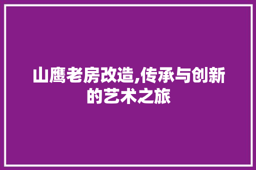 山鹰老房改造,传承与创新的艺术之旅