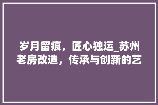 岁月留痕，匠心独运_苏州老房改造，传承与创新的艺术之旅
