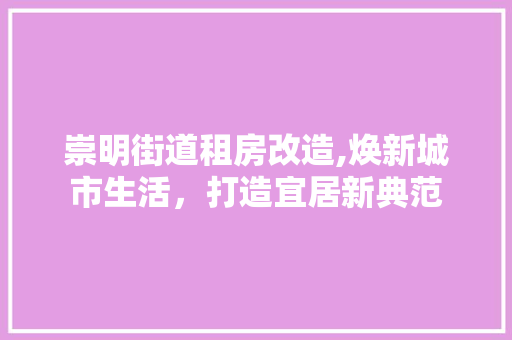 崇明街道租房改造,焕新城市生活，打造宜居新典范