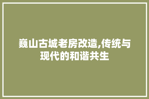 巍山古城老房改造,传统与现代的和谐共生