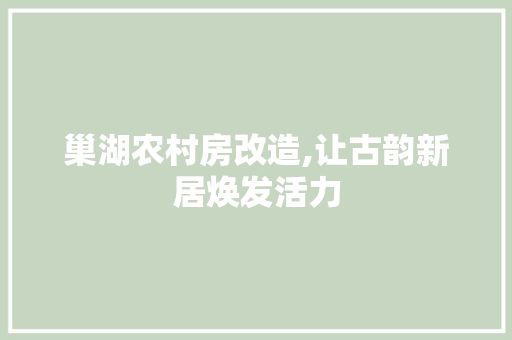 巢湖农村房改造,让古韵新居焕发活力 厨房维修
