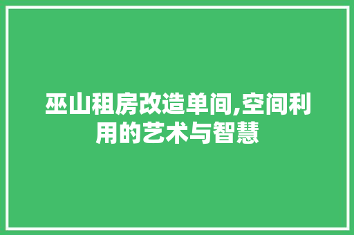 巫山租房改造单间,空间利用的艺术与智慧