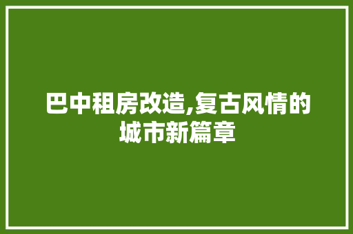 巴中租房改造,复古风情的城市新篇章