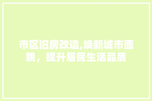 市区旧房改造,焕新城市面貌，提升居民生活品质
