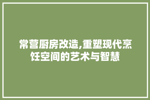 常营厨房改造,重塑现代烹饪空间的艺术与智慧 家电维修
