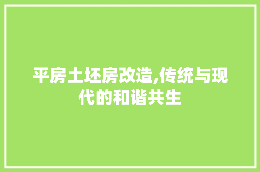 平房土坯房改造,传统与现代的和谐共生 家电维修
