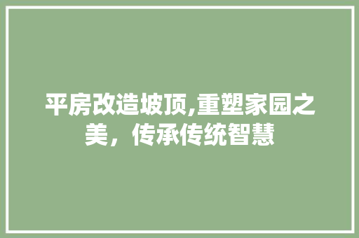 平房改造坡顶,重塑家园之美，传承传统智慧