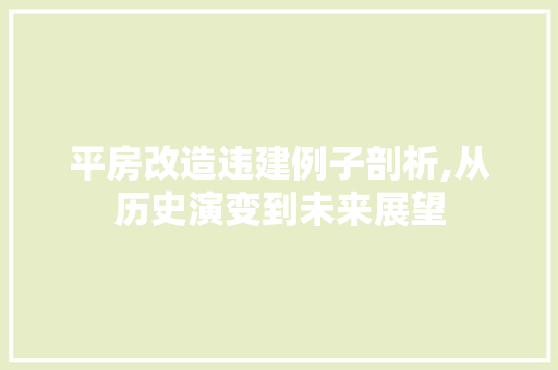 平房改造违建例子剖析,从历史演变到未来展望