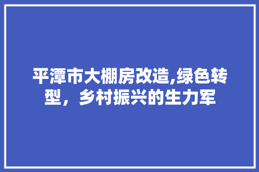 平潭市大棚房改造,绿色转型，乡村振兴的生力军