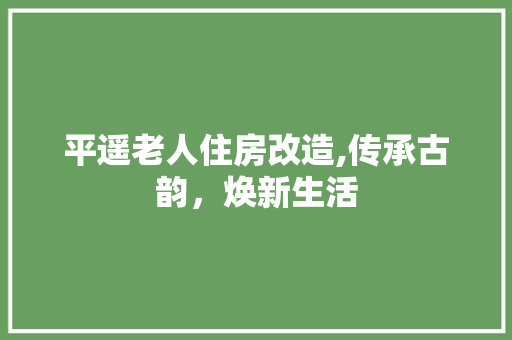 平遥老人住房改造,传承古韵，焕新生活