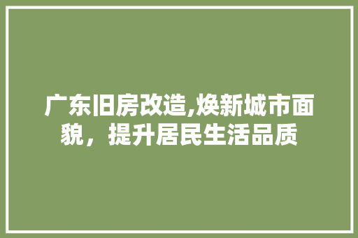 广东旧房改造,焕新城市面貌，提升居民生活品质
