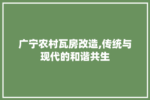 广宁农村瓦房改造,传统与现代的和谐共生 户内维修