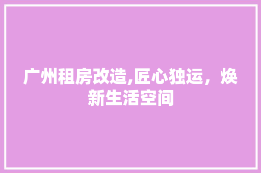 广州租房改造,匠心独运，焕新生活空间 家电维修
