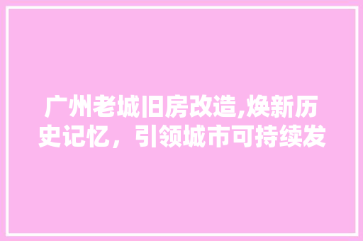 广州老城旧房改造,焕新历史记忆，引领城市可持续发展