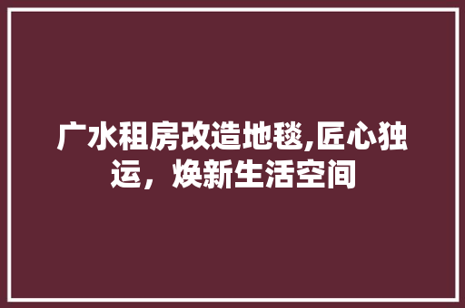 广水租房改造地毯,匠心独运，焕新生活空间 厨房维修