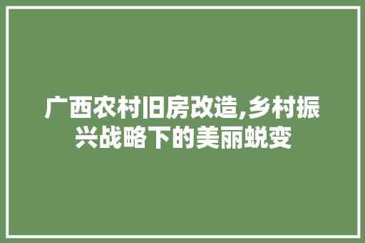广西农村旧房改造,乡村振兴战略下的美丽蜕变 厨房维修