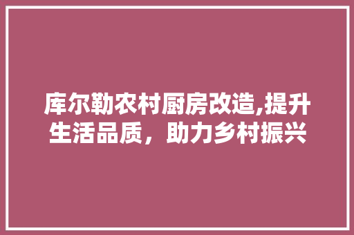 库尔勒农村厨房改造,提升生活品质，助力乡村振兴