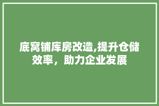 底窝铺库房改造,提升仓储效率，助力企业发展