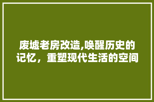 废墟老房改造,唤醒历史的记忆，重塑现代生活的空间