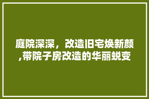 庭院深深，改造旧宅焕新颜,带院子房改造的华丽蜕变