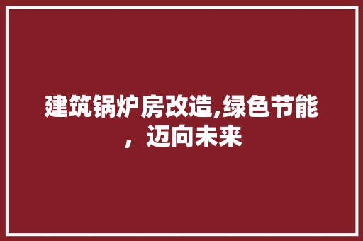建筑锅炉房改造,绿色节能，迈向未来