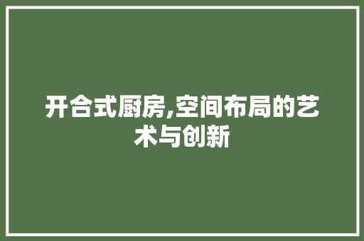 开合式厨房,空间布局的艺术与创新