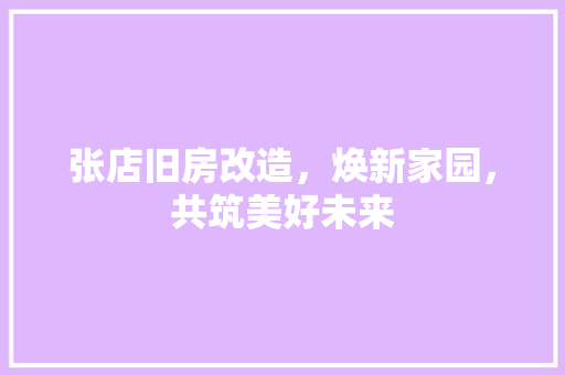 张店旧房改造，焕新家园，共筑美好未来
