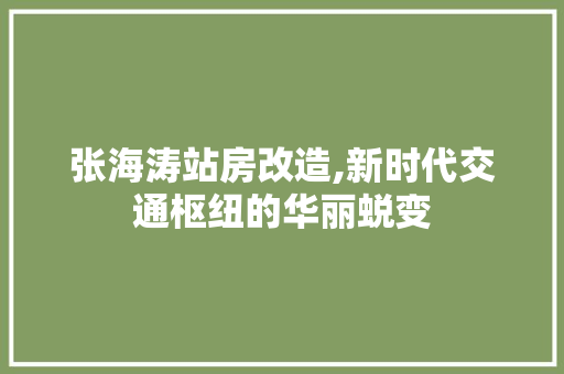 张海涛站房改造,新时代交通枢纽的华丽蜕变