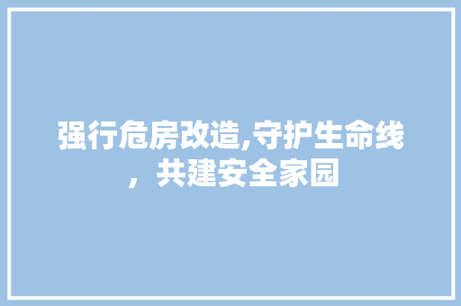 强行危房改造,守护生命线，共建安全家园