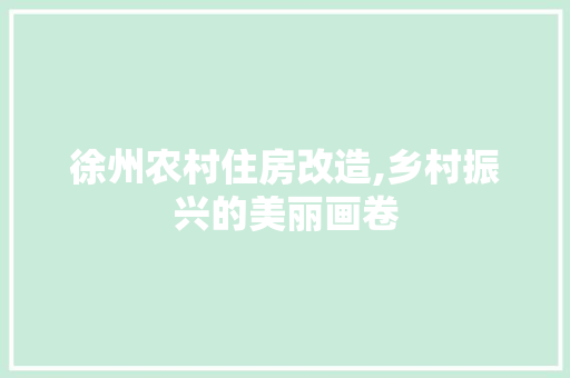 徐州农村住房改造,乡村振兴的美丽画卷 厨房维修