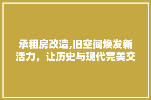 承租房改造,旧空间焕发新活力，让历史与现代完美交融