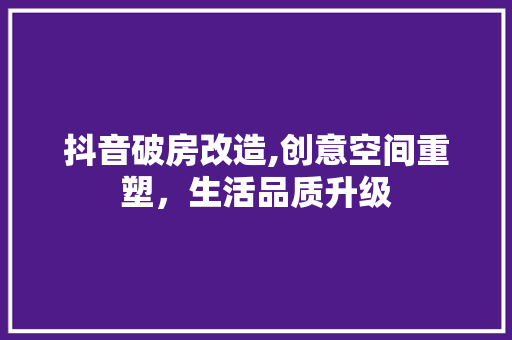 抖音破房改造,创意空间重塑，生活品质升级
