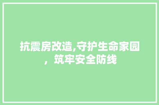 抗震房改造,守护生命家园，筑牢安全防线 户内维修