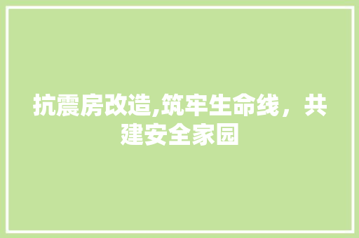 抗震房改造,筑牢生命线，共建安全家园