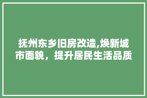 抚州东乡旧房改造,焕新城市面貌，提升居民生活品质