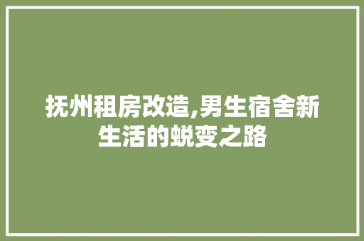 抚州租房改造,男生宿舍新生活的蜕变之路