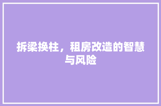 拆梁换柱，租房改造的智慧与风险