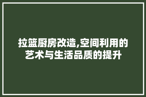 拉篮厨房改造,空间利用的艺术与生活品质的提升