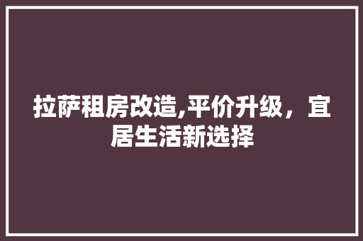 拉萨租房改造,平价升级，宜居生活新选择