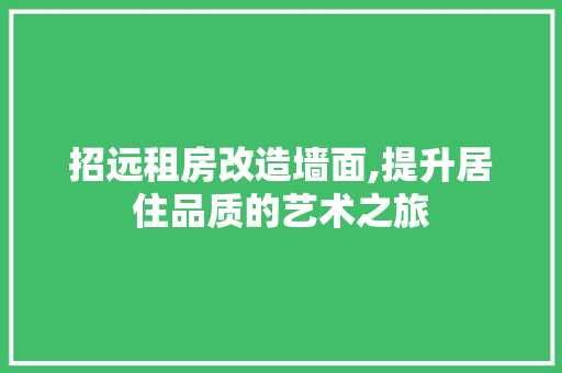 招远租房改造墙面,提升居住品质的艺术之旅